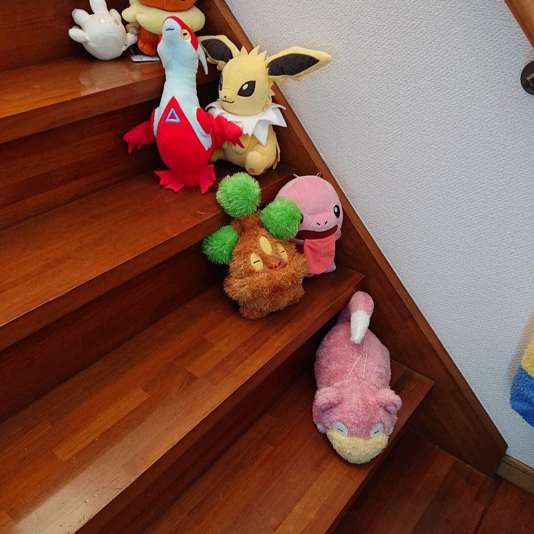 まとめてポケモンぬいぐるみ38体　Pokémonセンターほかで購入収集 でっかい
