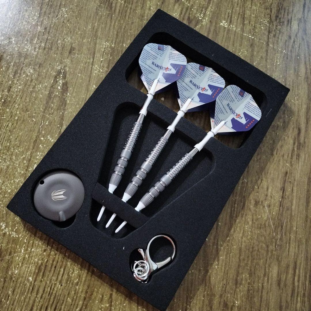 【ターゲット】 バーニー25 レイモンド・ヴァン・バーナベルドモデル 2BA