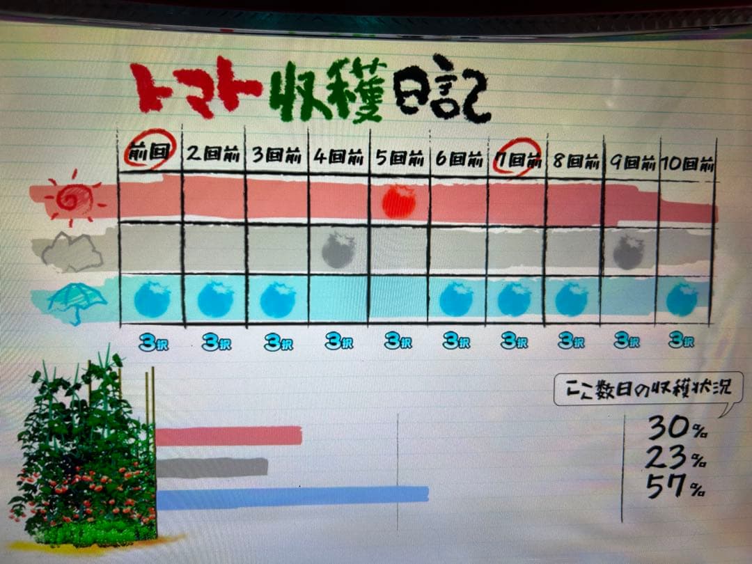小麦粉マン様用6号機　パチスロ実機　山佐　スーパーリノSP 家スロフルセット