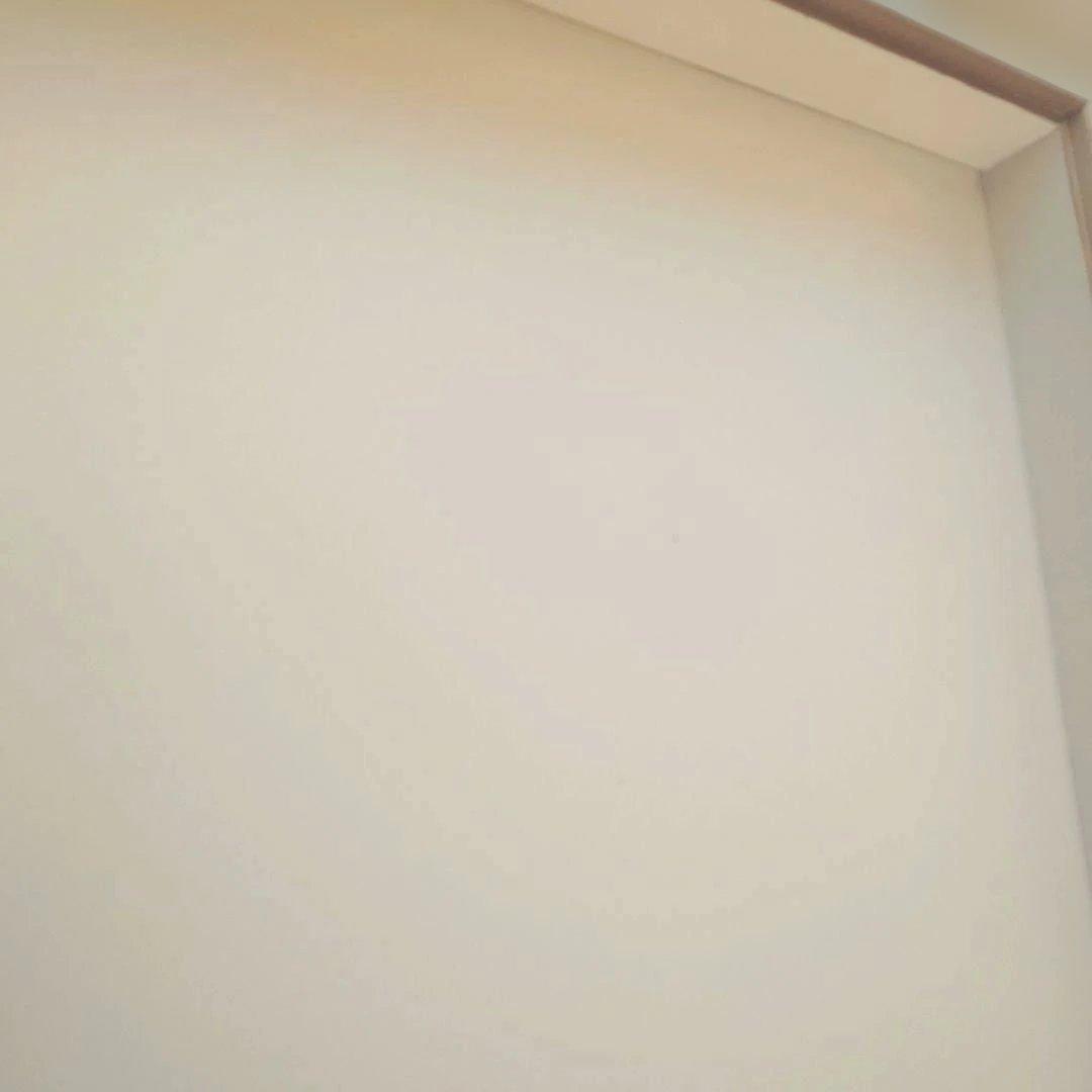 あ*ぬ様 中野製作所　大型ドイツ箱　標本箱　中古　約42×51×6