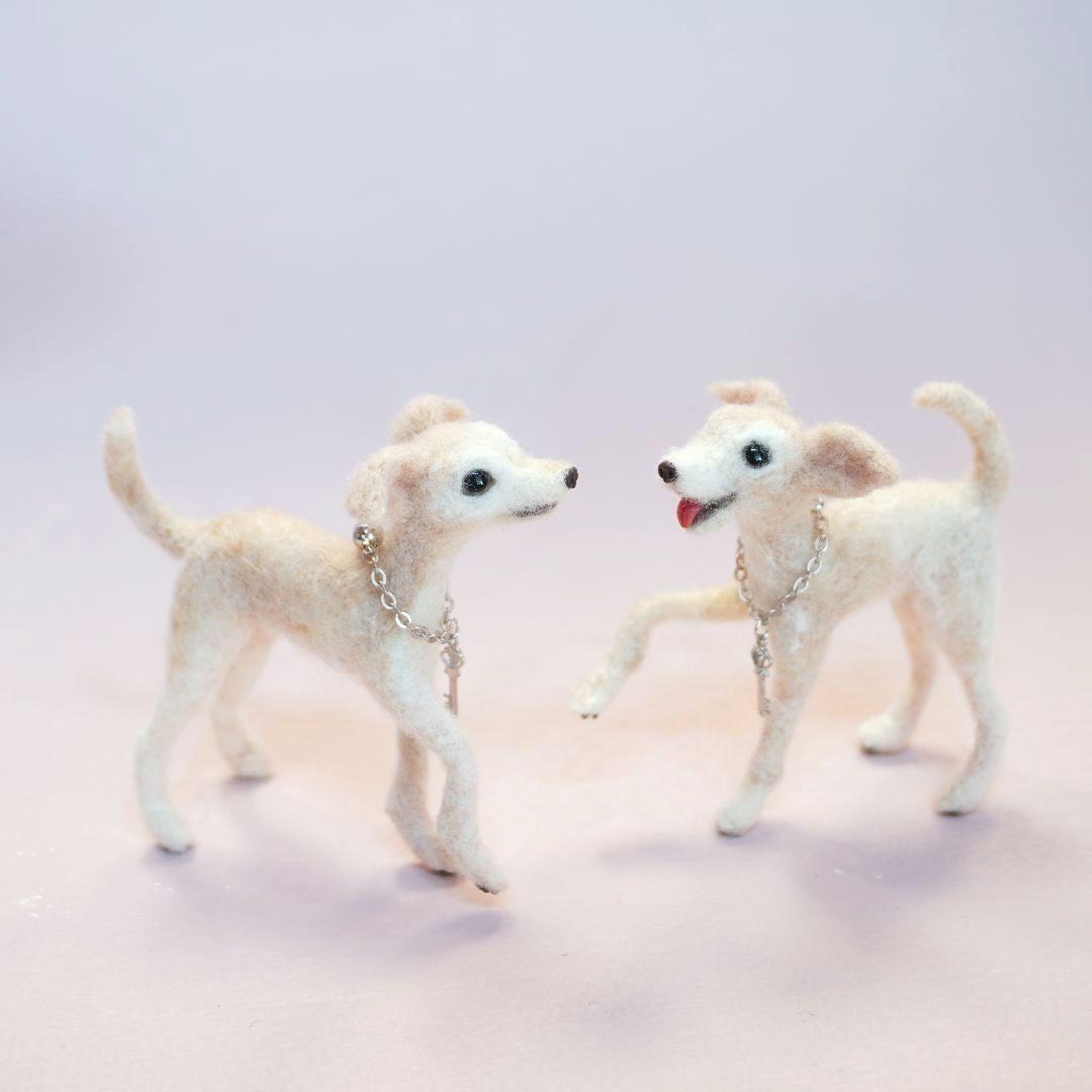 ★専用★　イタグレ　パグ　チワワ　セット