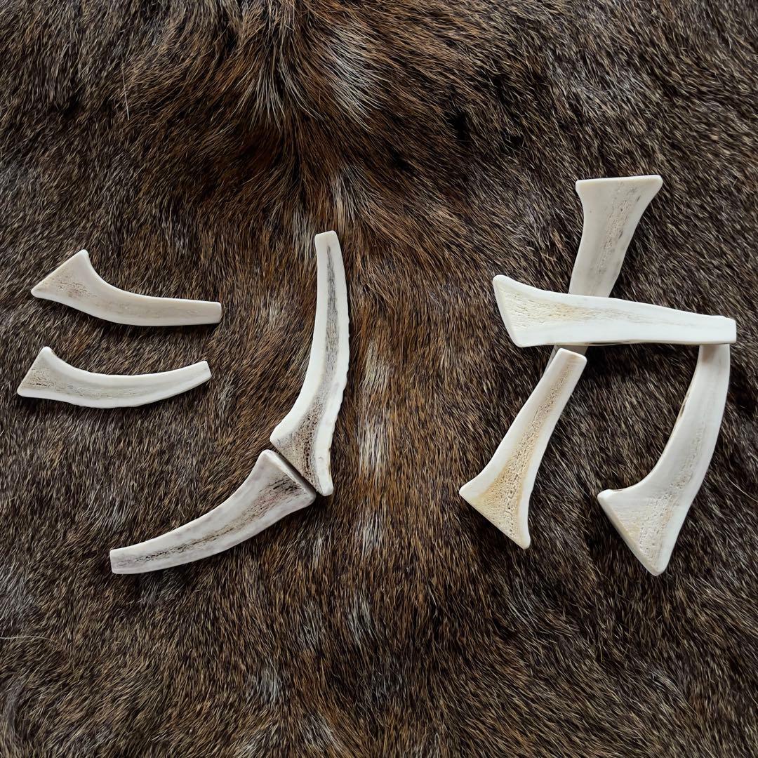 『風の鹿の角』　✴︎おまとめ✴︎犬のおもちゃ　鹿