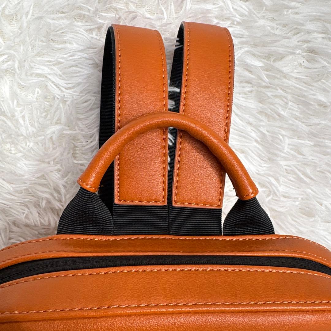 [極美品]ポケモンセンター限定 モレスキン クラシック ポケモン ミモザ　希少