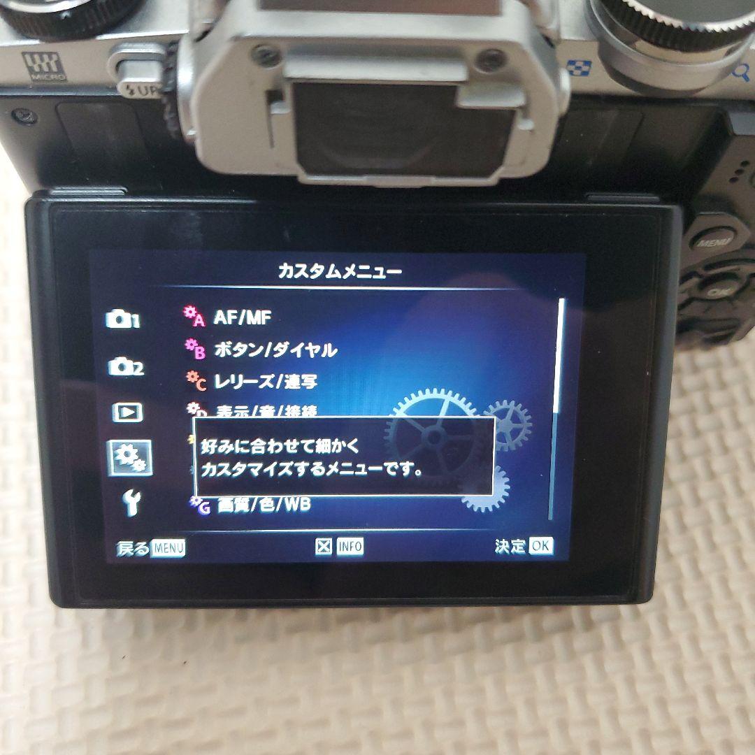 OLYMPUS OM-D E-M10 ボディ