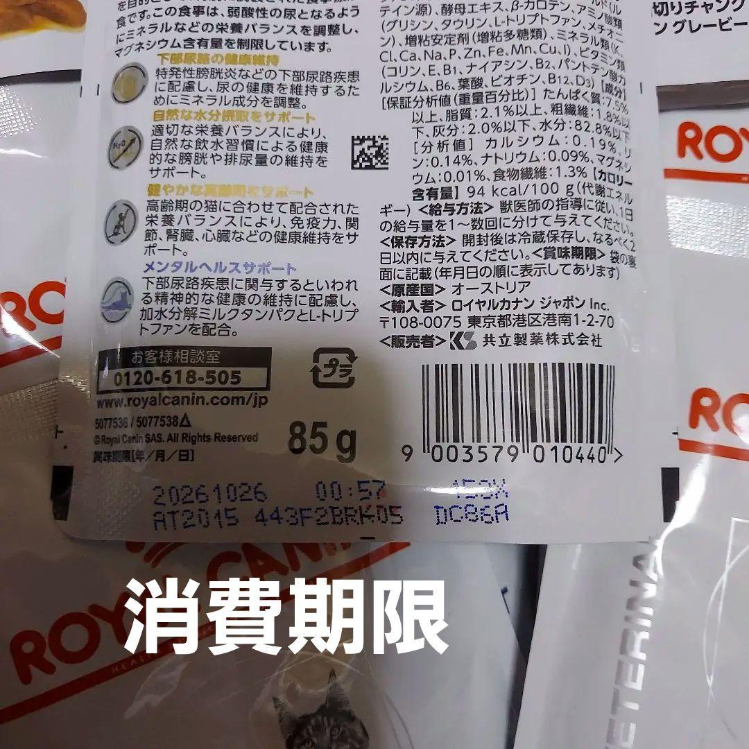  CANIN S/O　CLT　膀胱炎療法食　猫用療法食 85g 23袋