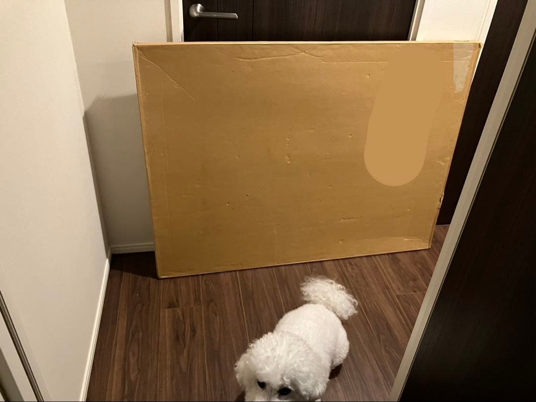 【セール中】長岡秀星 リトグラフ 『栄光への軌跡』 セナ直筆 限定128/290