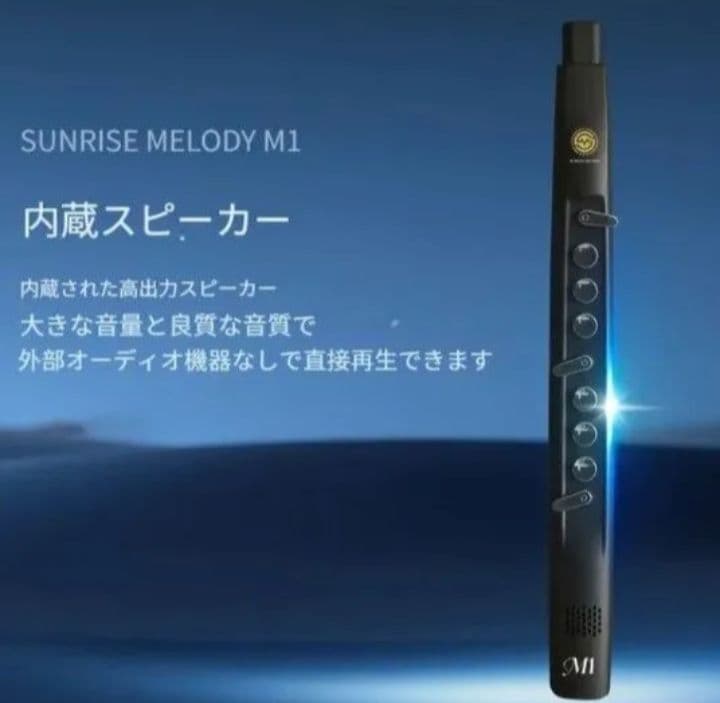 新品 電子 デジタル サックス 吹奏 管楽器 エレフエ サクソフォン黒リコーダー