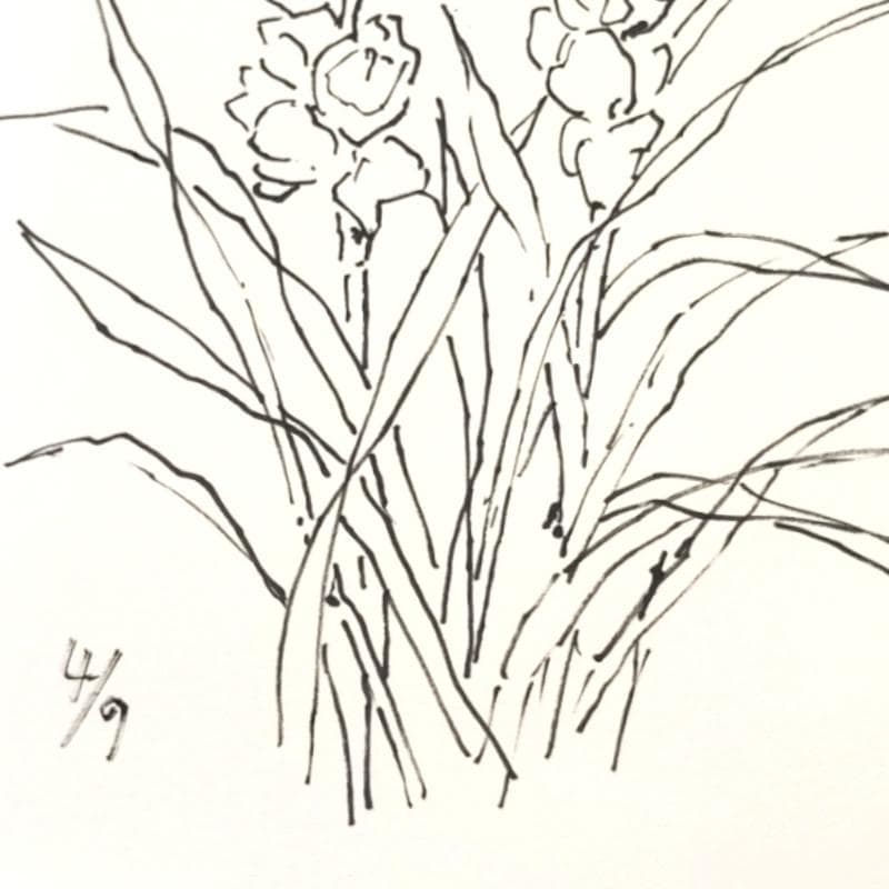 ☆坂本直行☆「 Sinbidium(シンビジウム） 」ペン画　大衣　未使用!