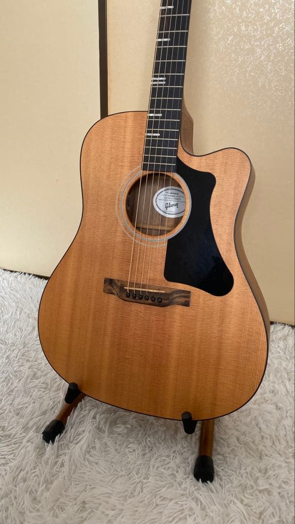 ギター Gibson G-Writer EC