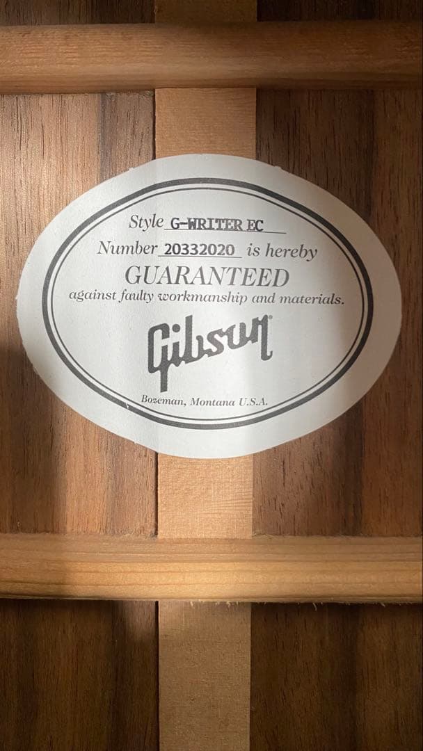 ギター Gibson G-Writer EC