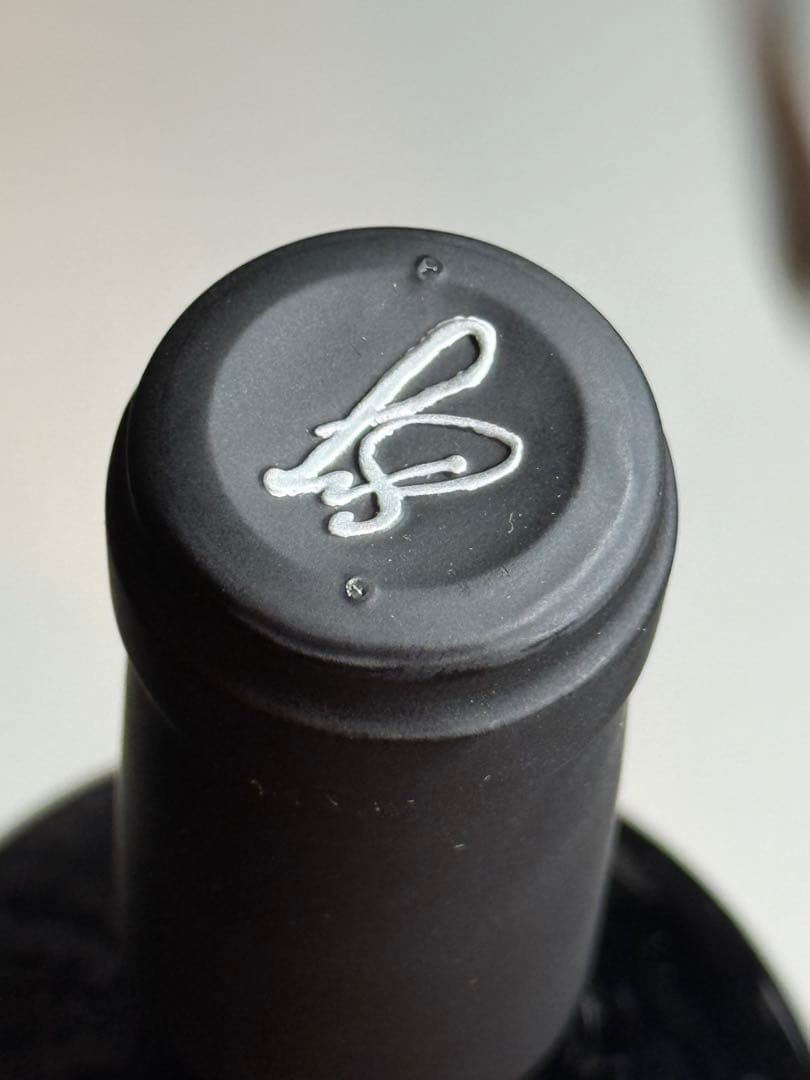 SAM JASPER サム・ジャスパー 2019