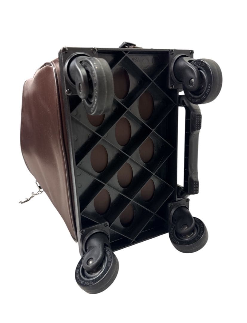 SWANY スワニー　キャリーバッグ　座面付きD-202