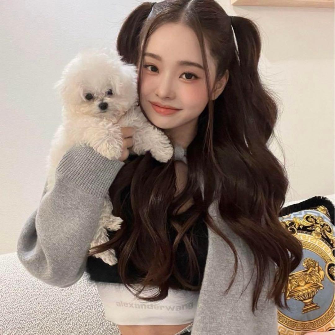 alexanderwang モヘアブラトップ ロゴ