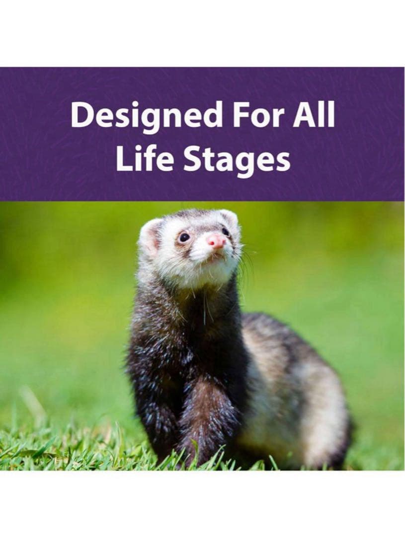 Mazuri フェレットダイエット11.34Kg