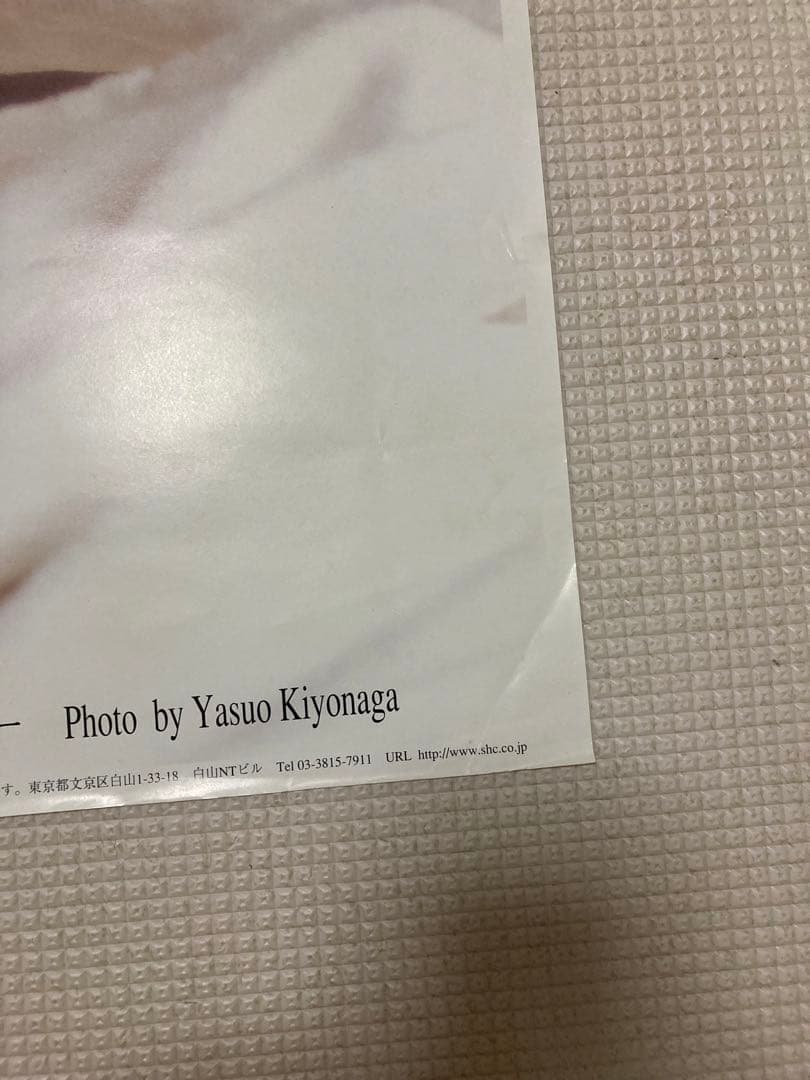 レスリーチャン　ポスター　出版記念