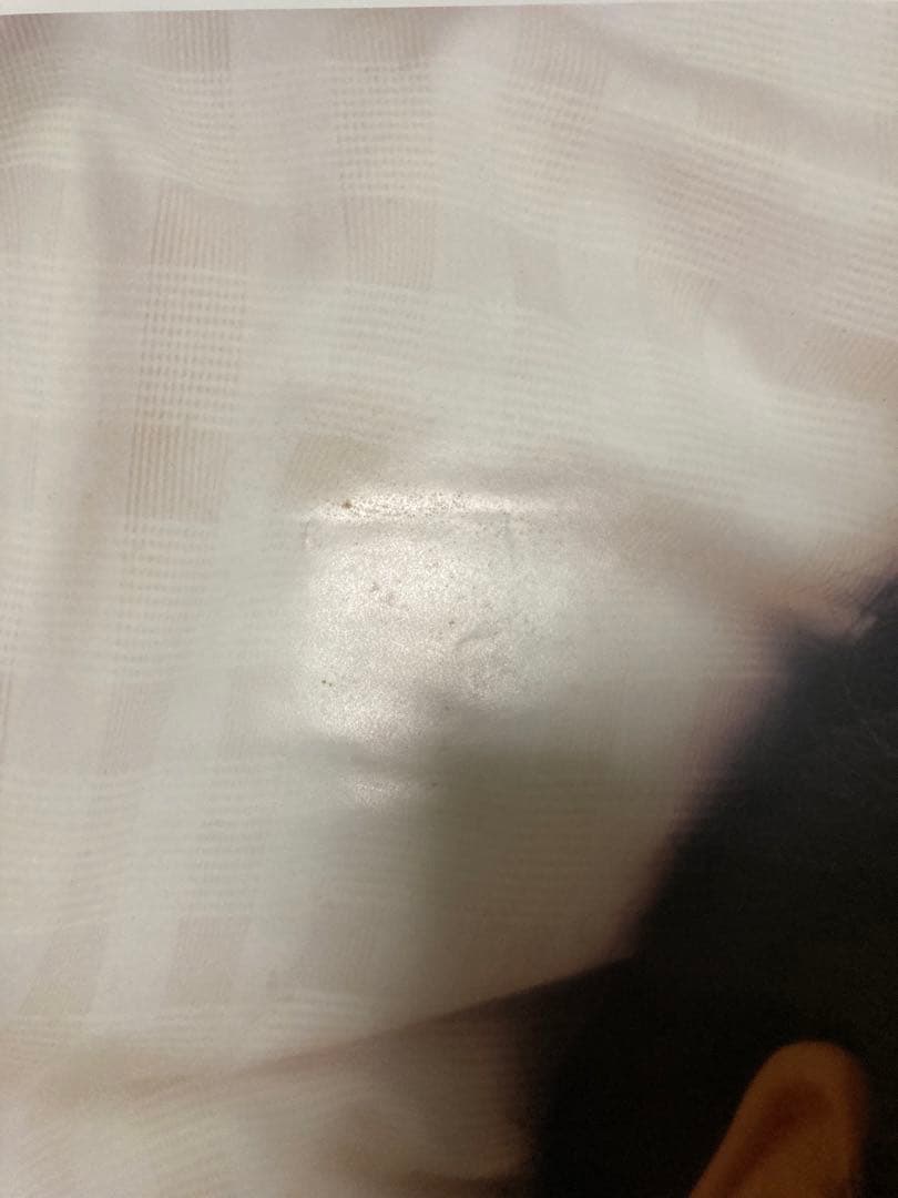 レスリーチャン　ポスター　出版記念