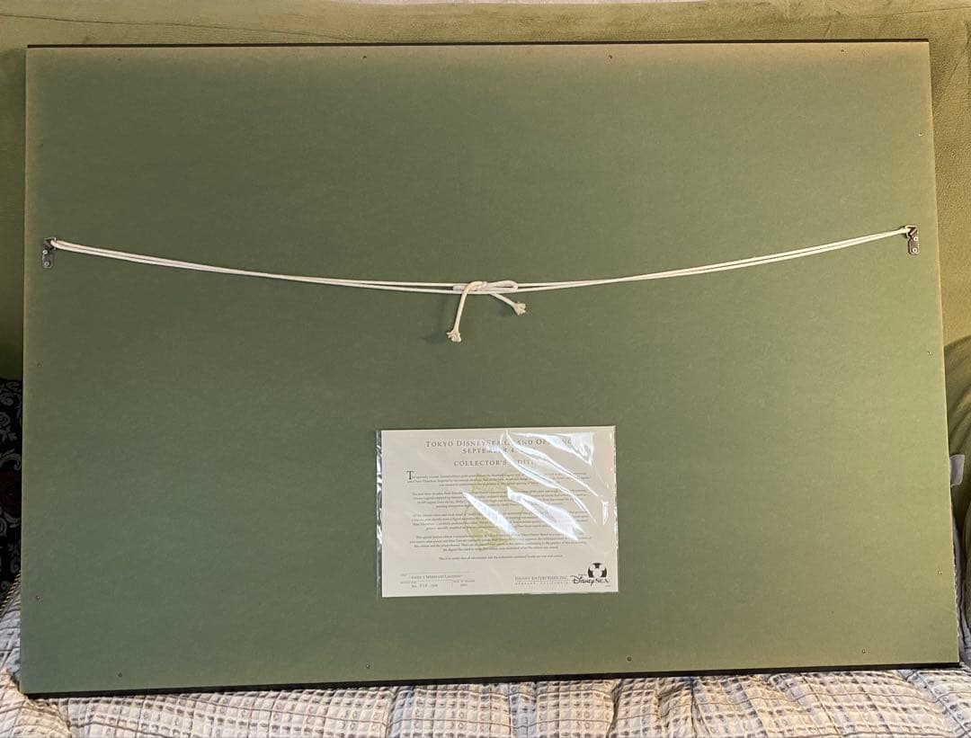 アリエル　マーメイドラグーン