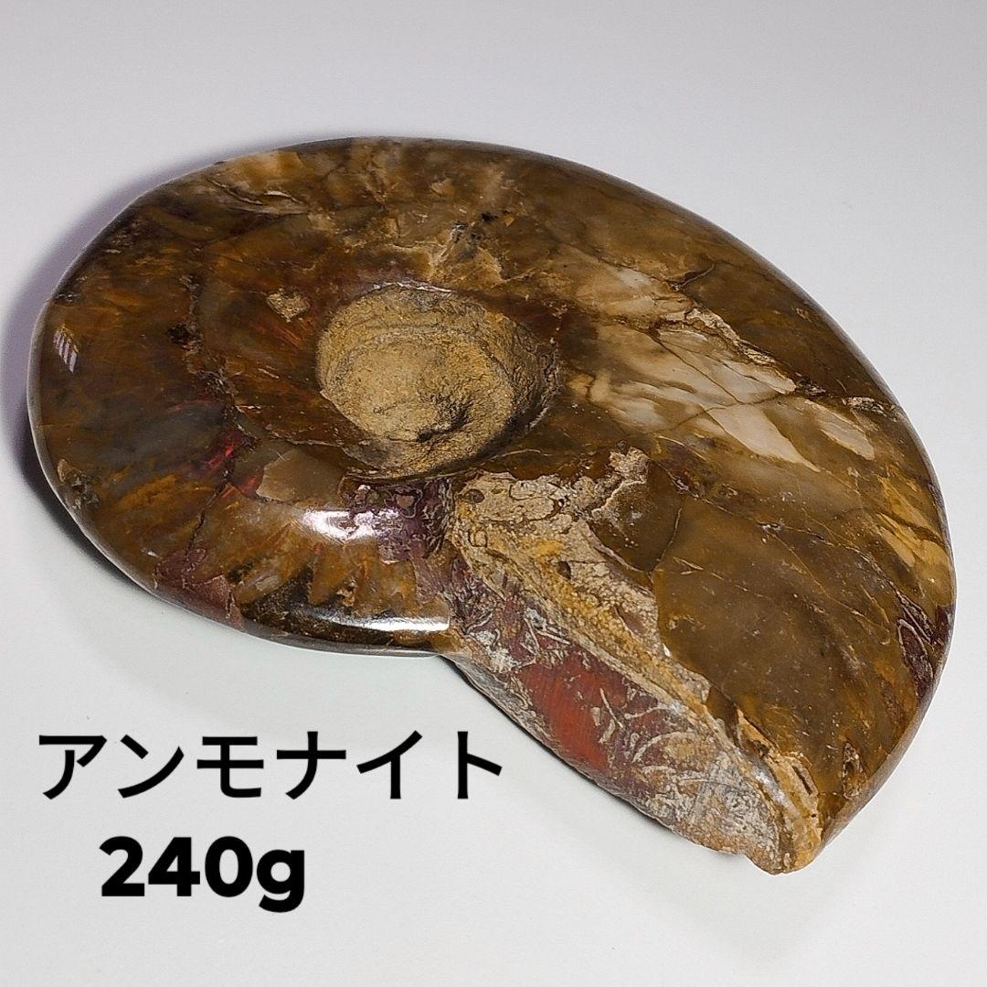 240g アンモナイト 化石 アンモライト オパール化 本物 原石 鉱物標本