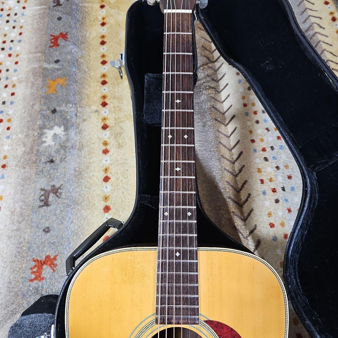 Aria.DreadnoughtAD-50トップ、バック単板! ハードケース付き