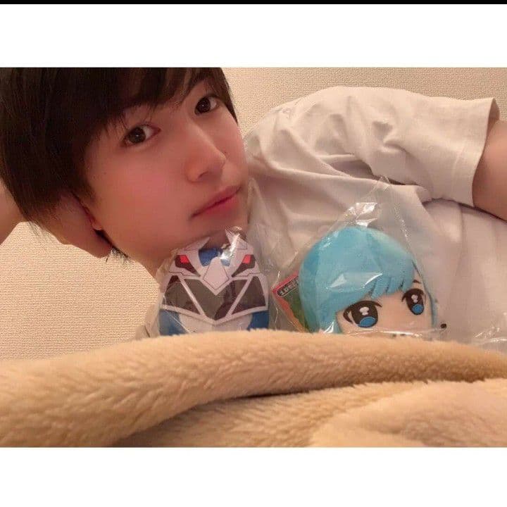 綱啓永【騎士竜戦隊リュウソウジャー】メルト/リュウソウブルー ぬいぐるみ