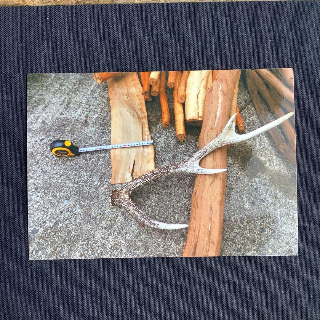 乾燥山ぶどう蔓混材、2kg セット。　　7-05