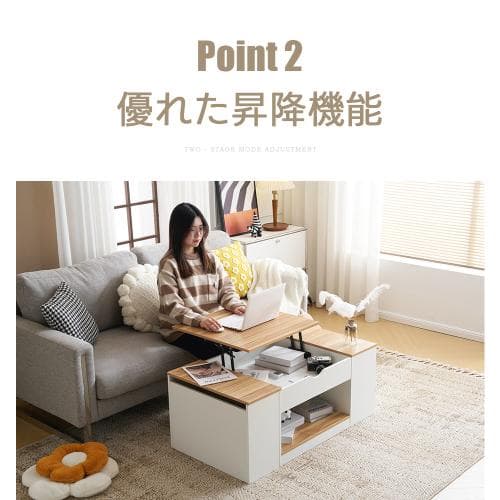 新作登場】センターテーブル 昇降テーブル 大容量収納 収納付き 幅110CM 北