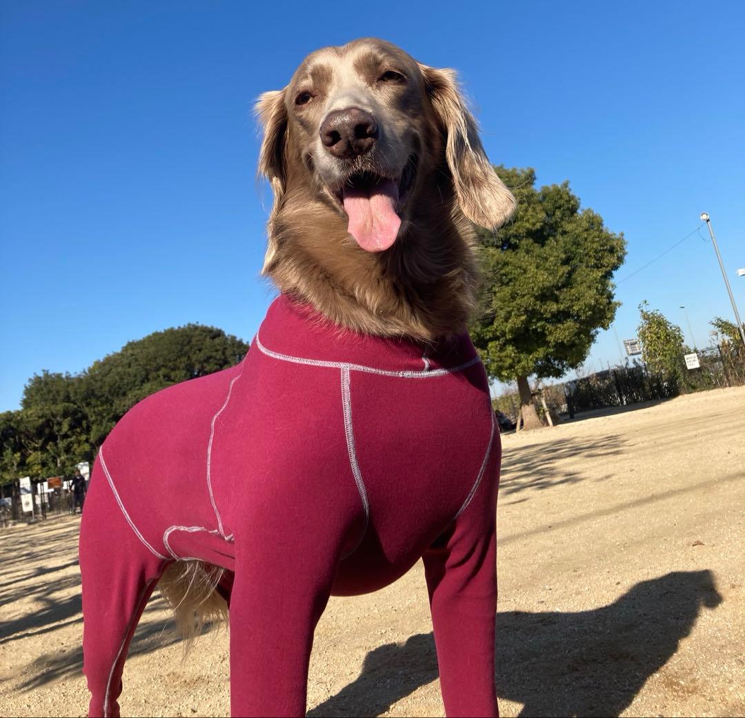 大型犬。ALPHAICON ホットドックガードXL