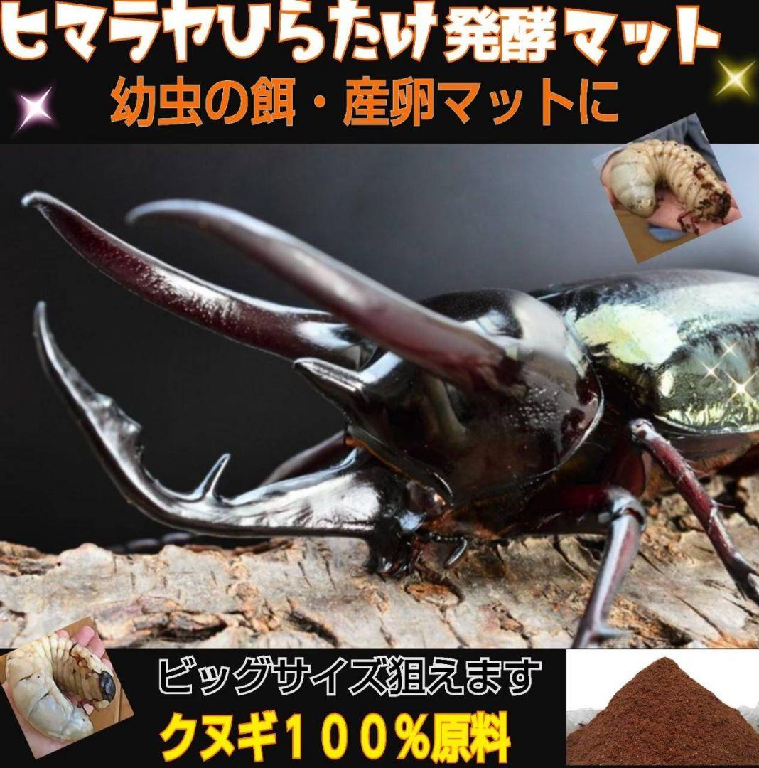 雑虫がわきません！カブトムシ幼虫の餌　産卵に！　発酵マット【60リットル】