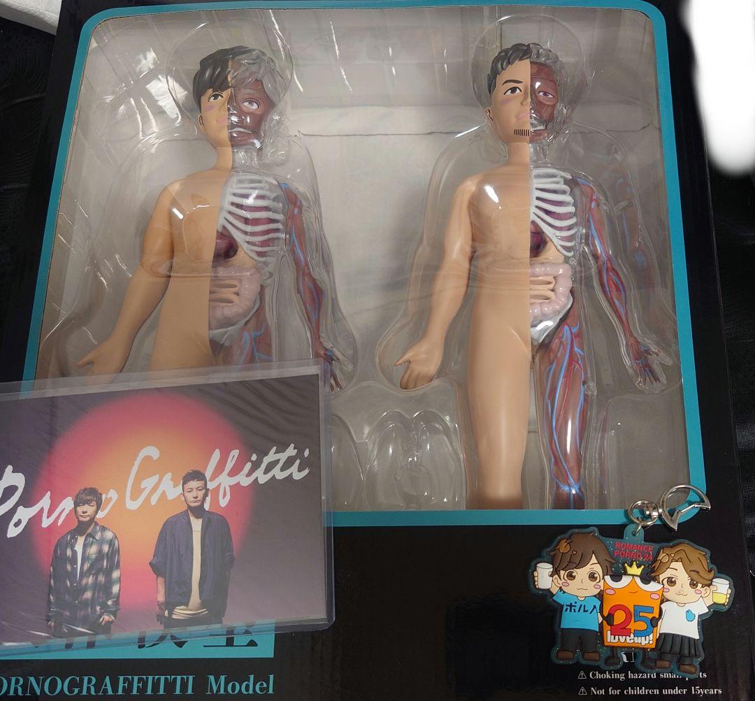 ポルノグラフィティ 人体模型