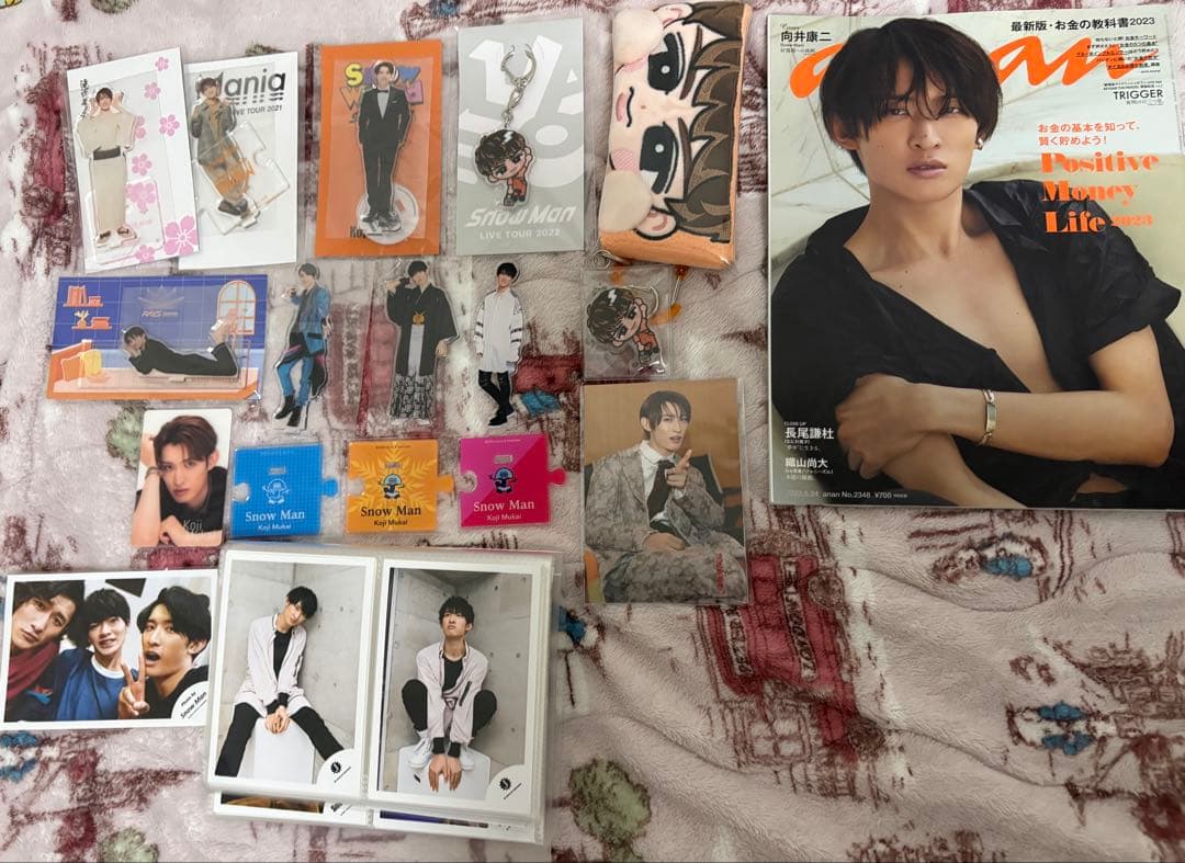  Man スノーマン 向井康二 まとめ売り グッズ アクスタ すのチル