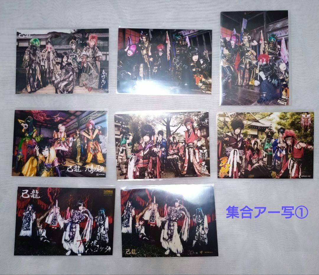 己龍 黒崎眞弥 酒井参輝 九条武政 一色日和 遠海准司 Tシャツ チェキ トレカ