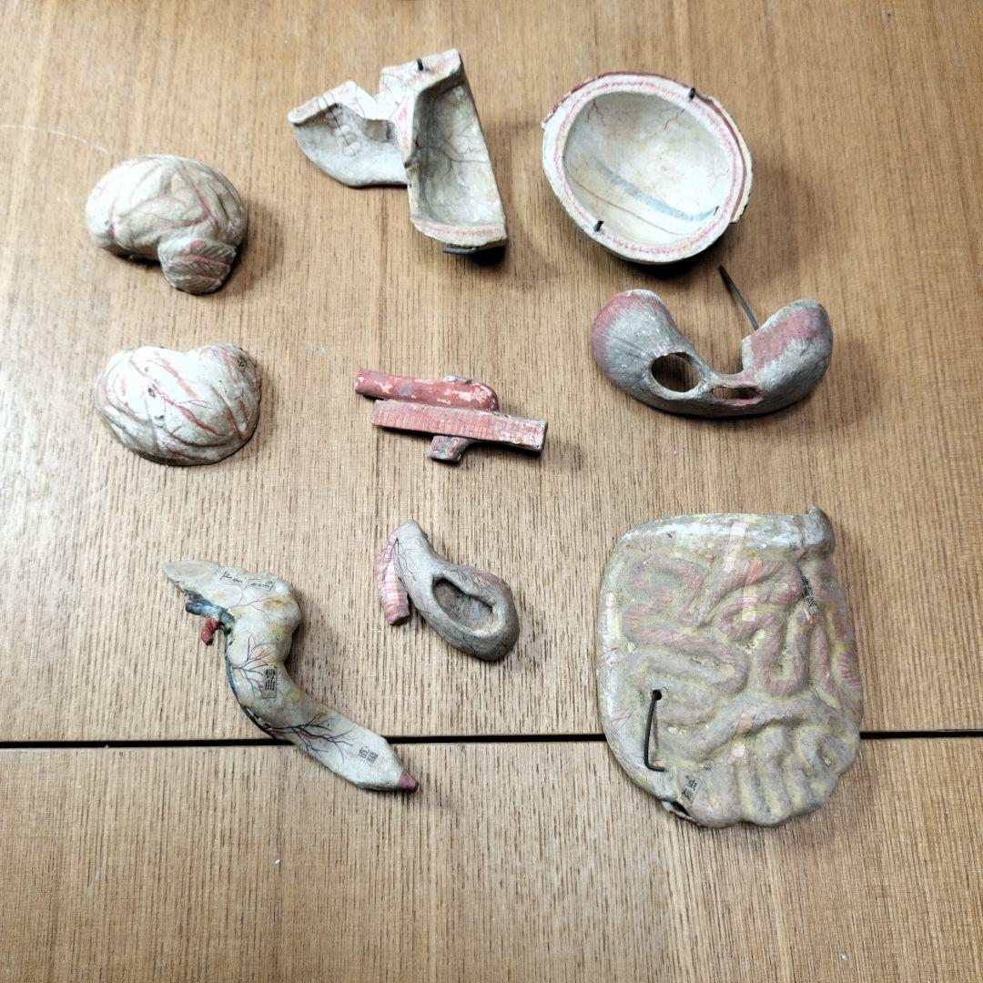 張り子製 人体模型 約60cm