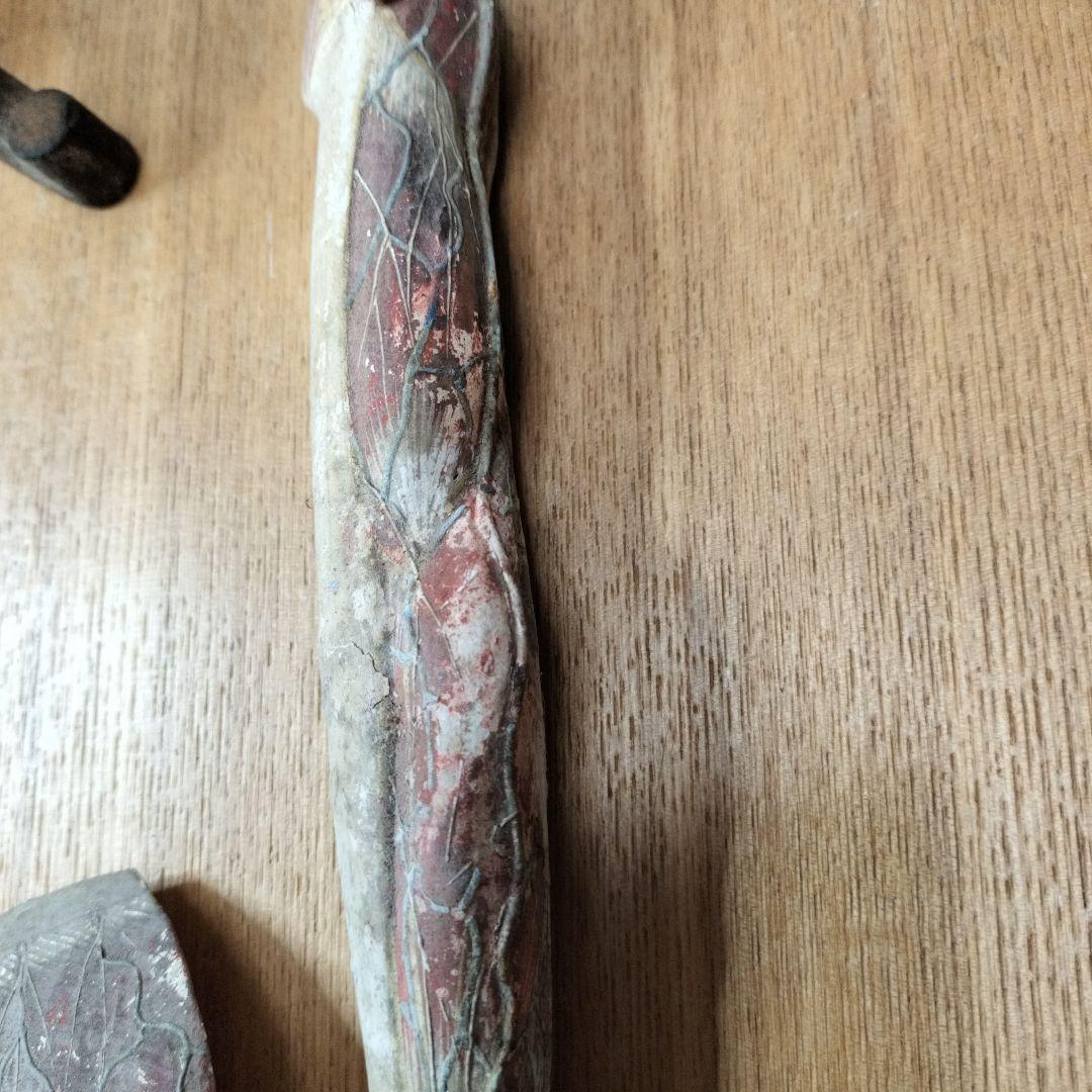 張り子製 人体模型 約60cm