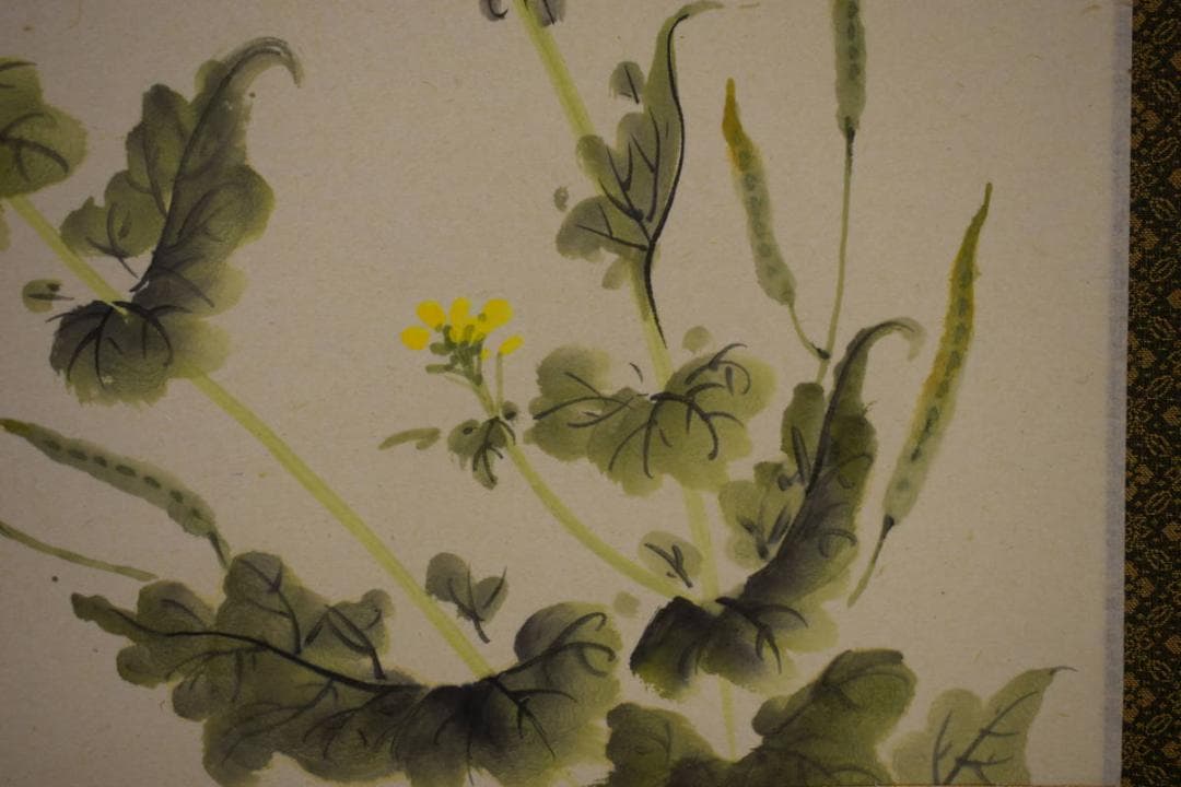 真作/松陽/なの花画賛/桐共箱付/布袋屋掛軸HG-822