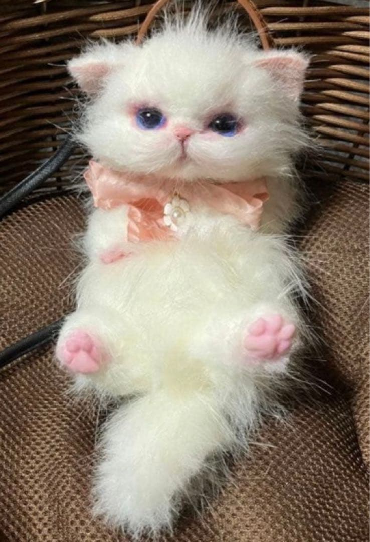 子猫 ぬいぐるみ 猫