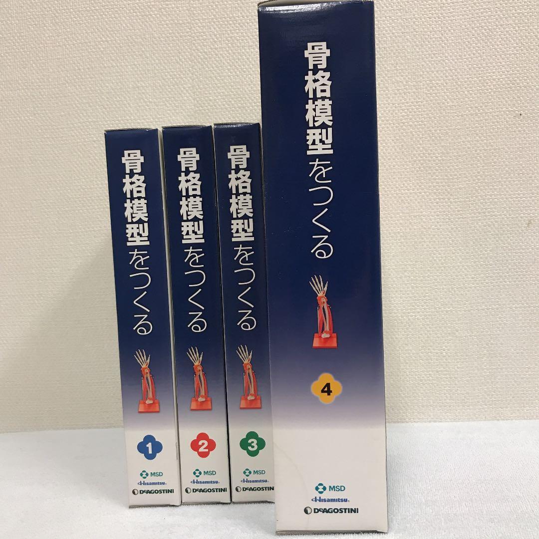 骨格模型をつくる　上肢モデル　1-4 デアゴスティーニ　非売品