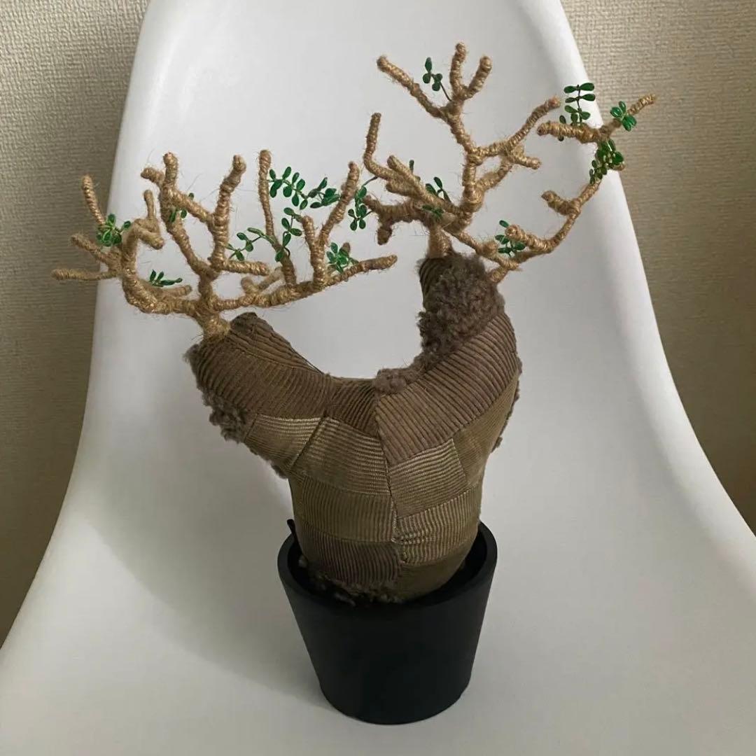 ぬいぐるみ Botanize Pachypatchy Large size