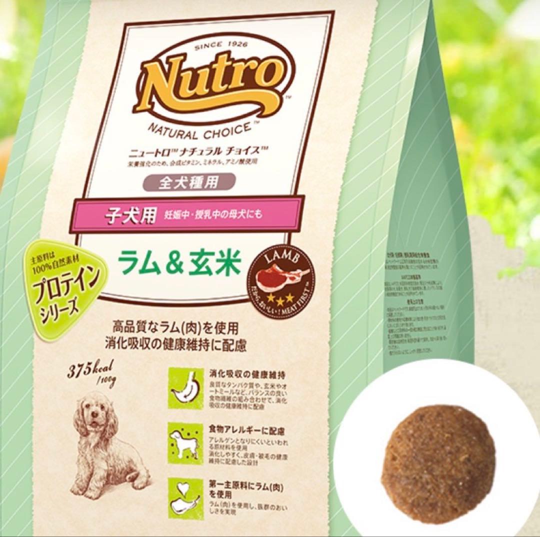 Nutro ラム&玄米 子犬用 17kg