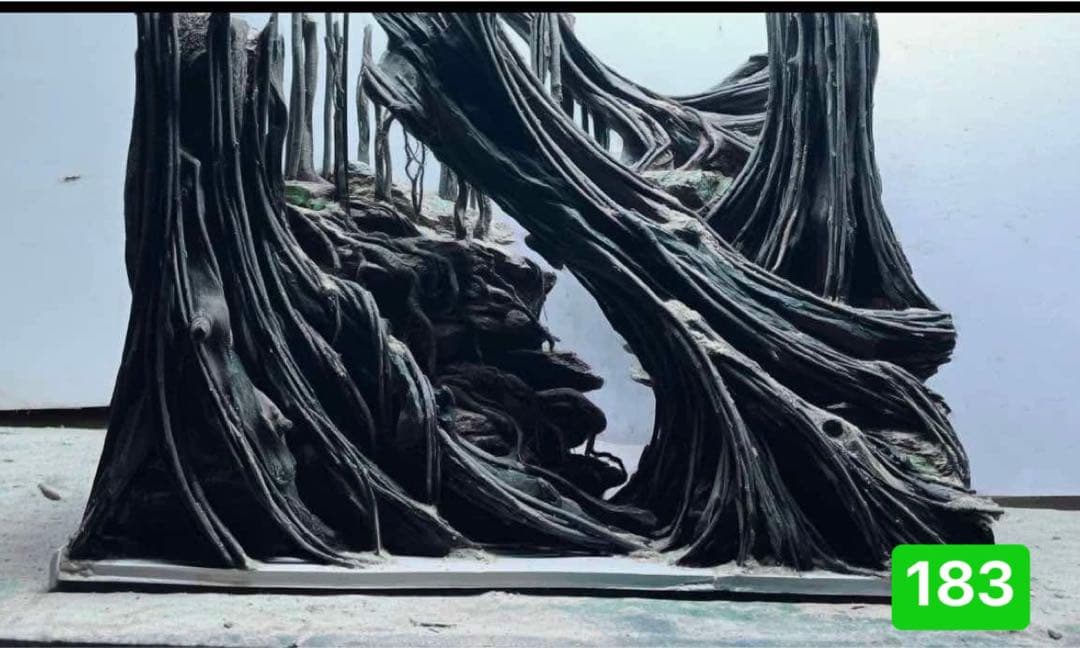 爬虫類ゲー ジ。水槽。水生植物。水槽用流木　。流木 アクアリウム　盆栽流木