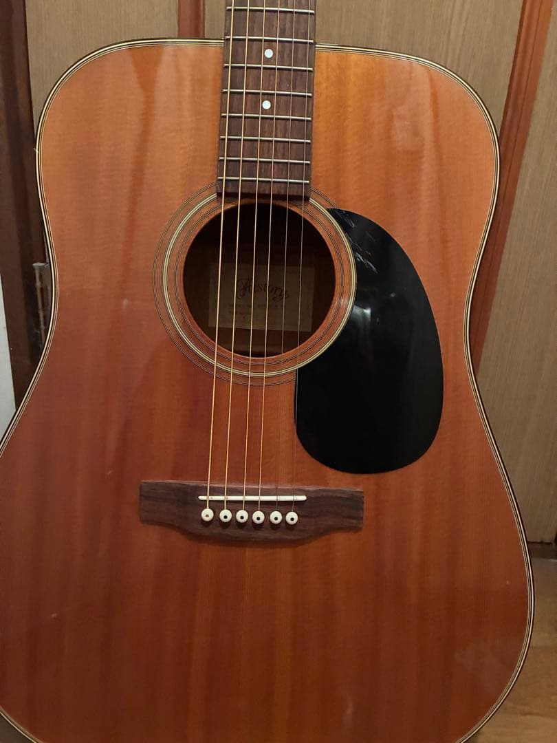 アコースティックギター History HFG STN NT H.C付　本日価格