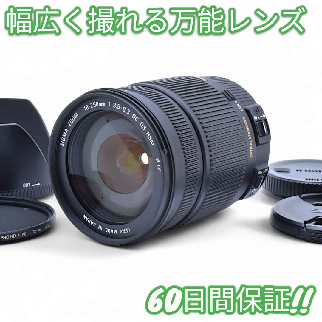 Sigma 18-250mm F3.5-6.3 OS キャノン #8985