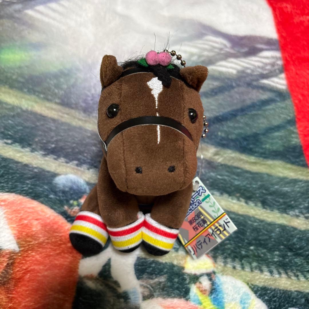 リバティアイランド　桜花賞　アイドルホース　Sサイズ