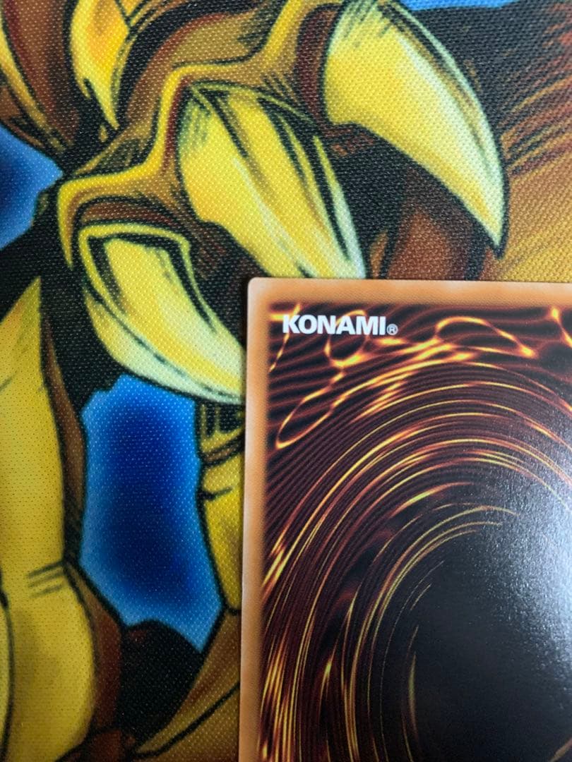 遊戯王　魔術師の弟子-ブラック・マジシャン・ガール　25