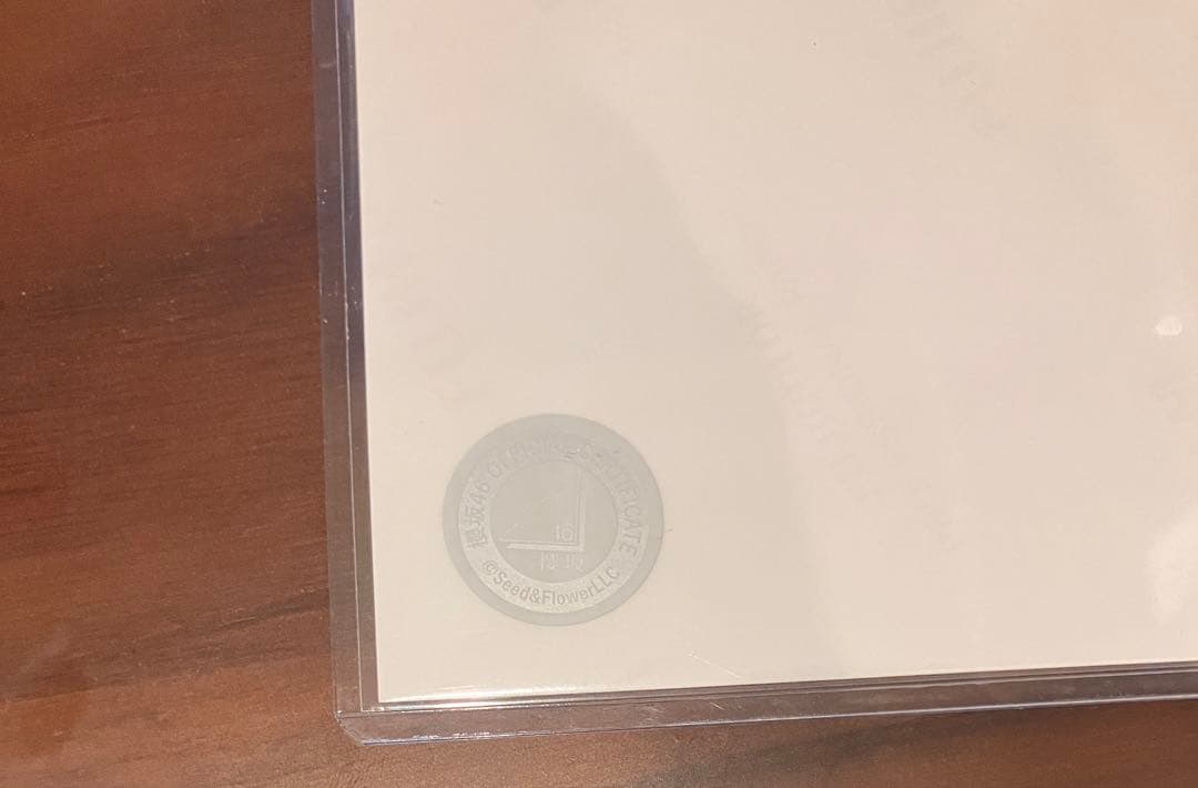 田村保乃 サイン入り写真 坂道シリーズ