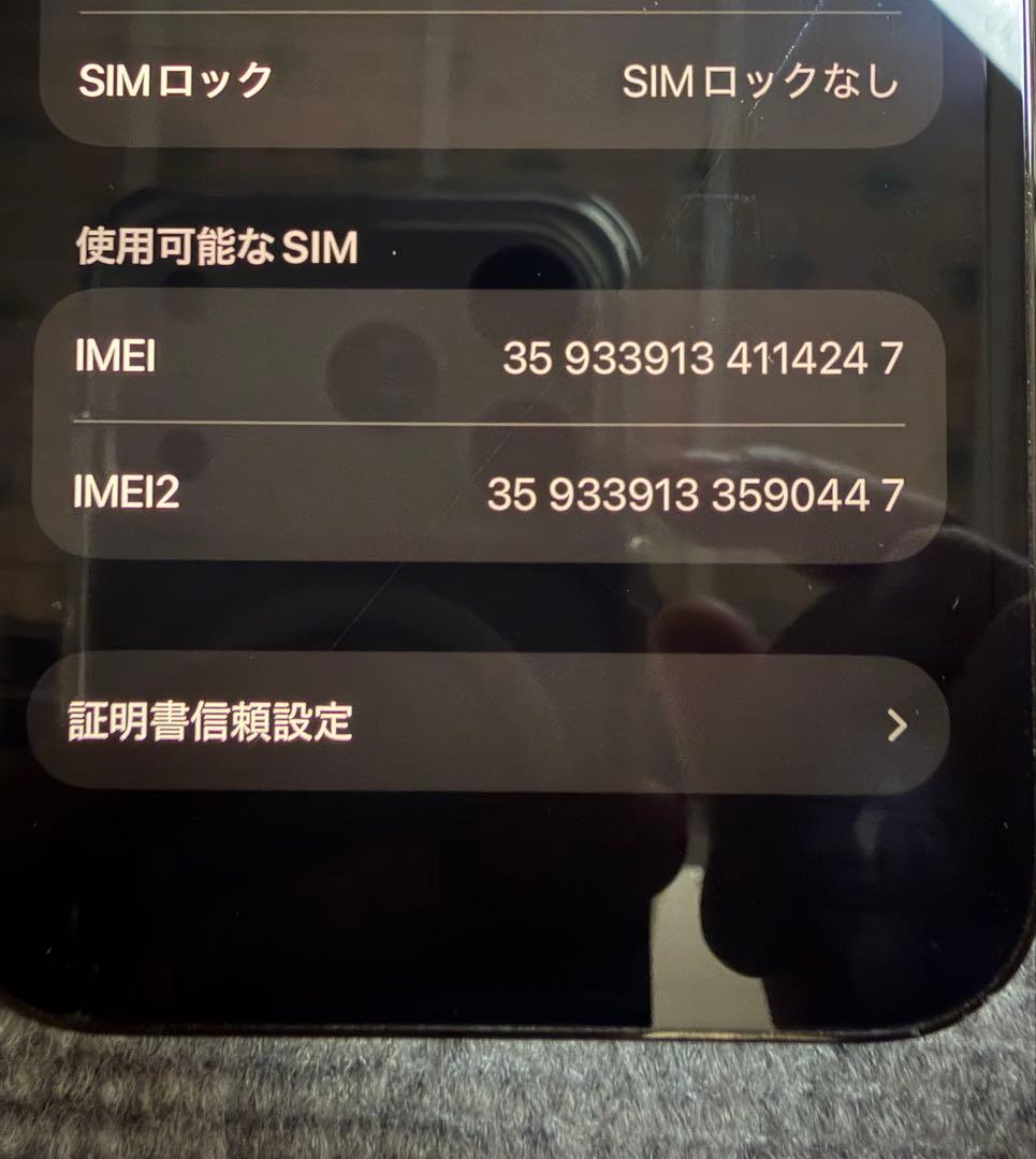 Apple iPhone 13 Pro グラファイト