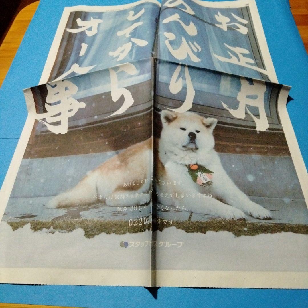 新聞広告.19 わさお 2018