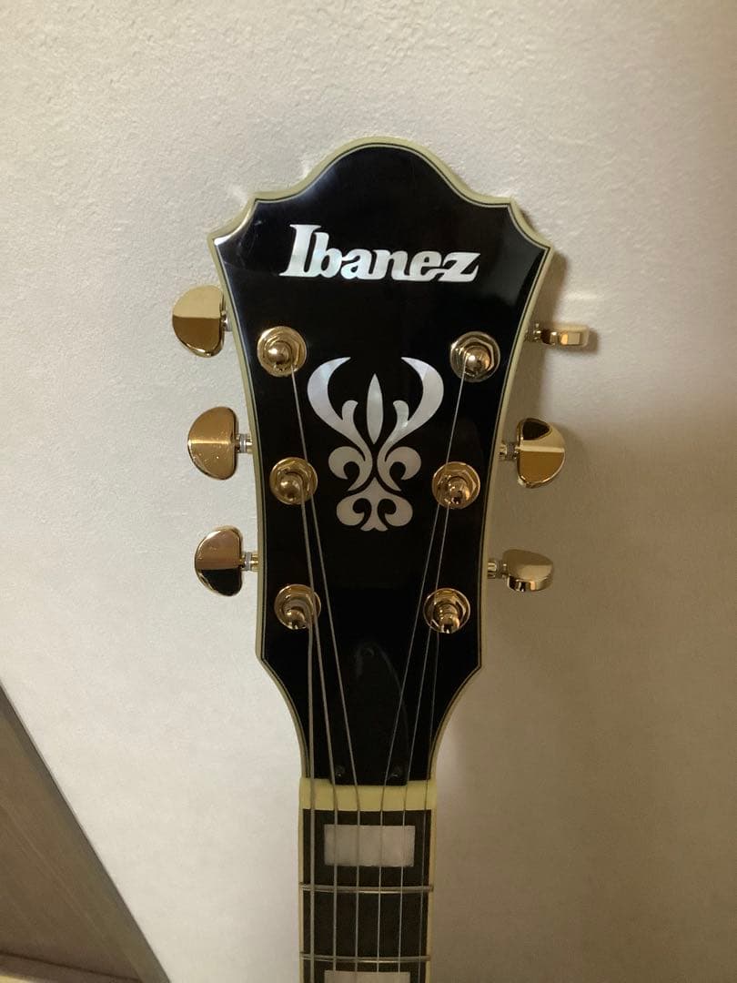 Ibanez アイバニーズフルアコAG95QA-DBS