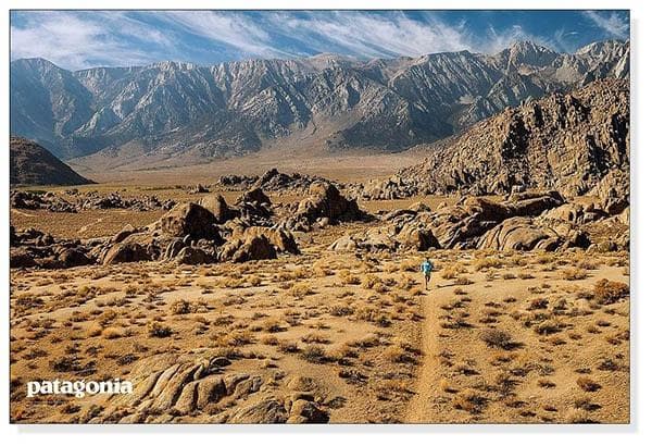 額装品/Lone Runner Lone Pine（パタゴニア）/アートポスター