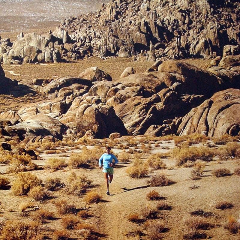 額装品/Lone Runner Lone Pine（パタゴニア）/アートポスター