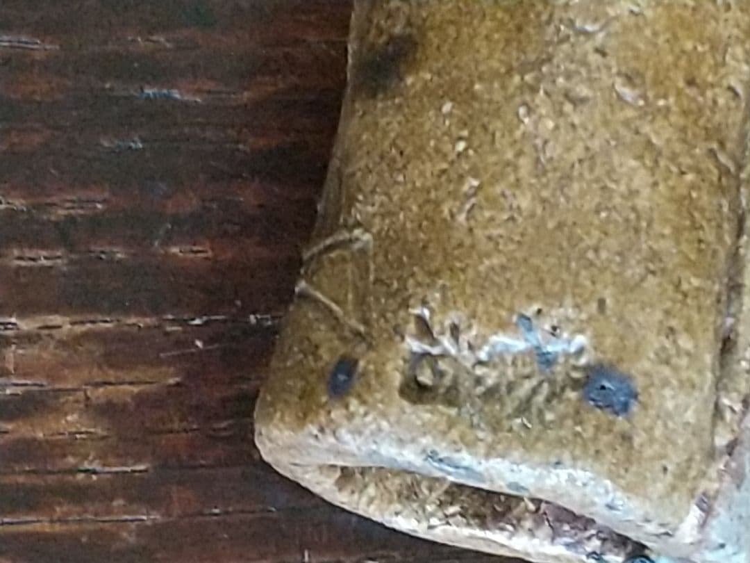 野菊絵 蓋置 (大橋秋二作) 珍品貴重